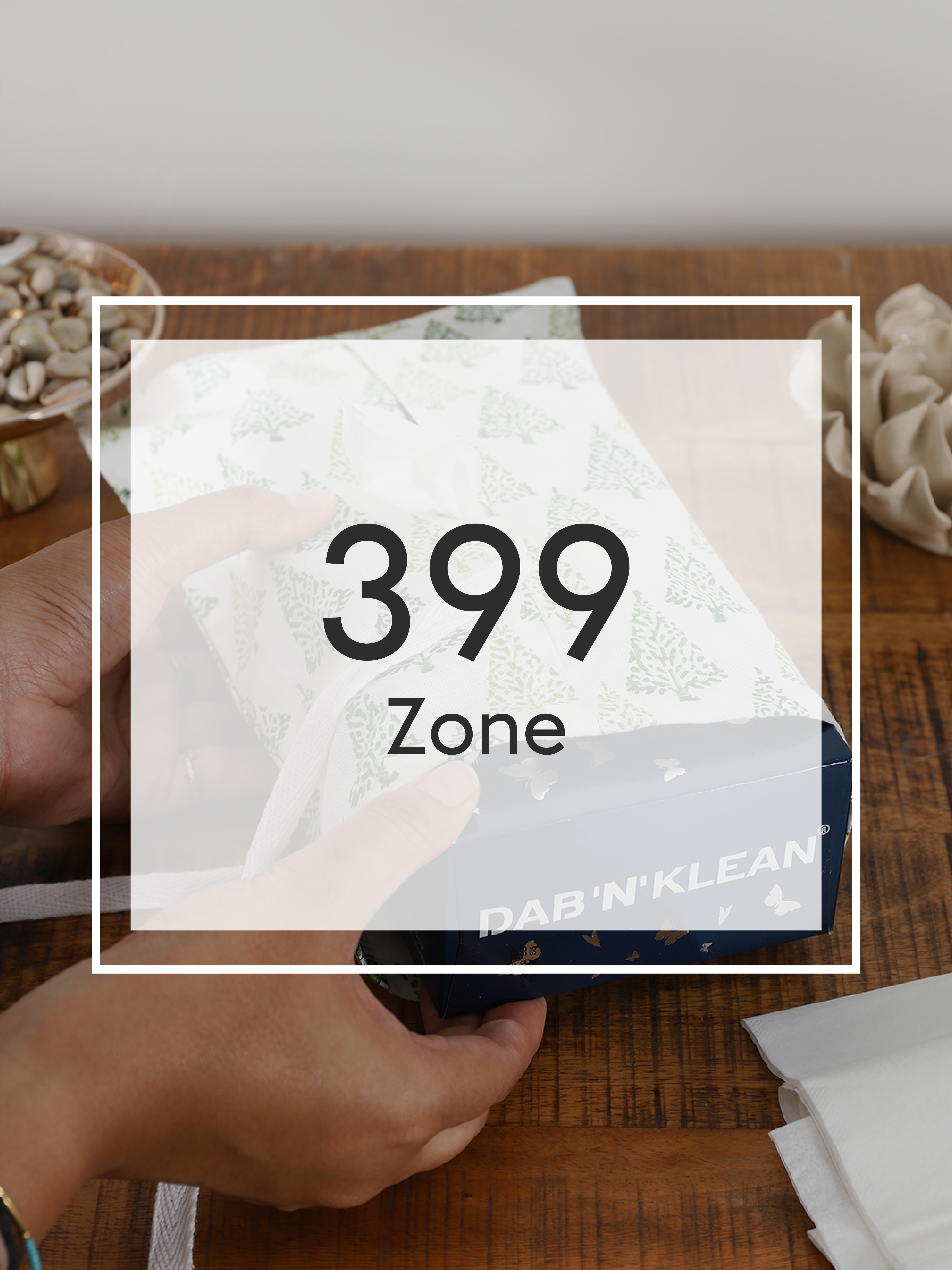 399 Zone