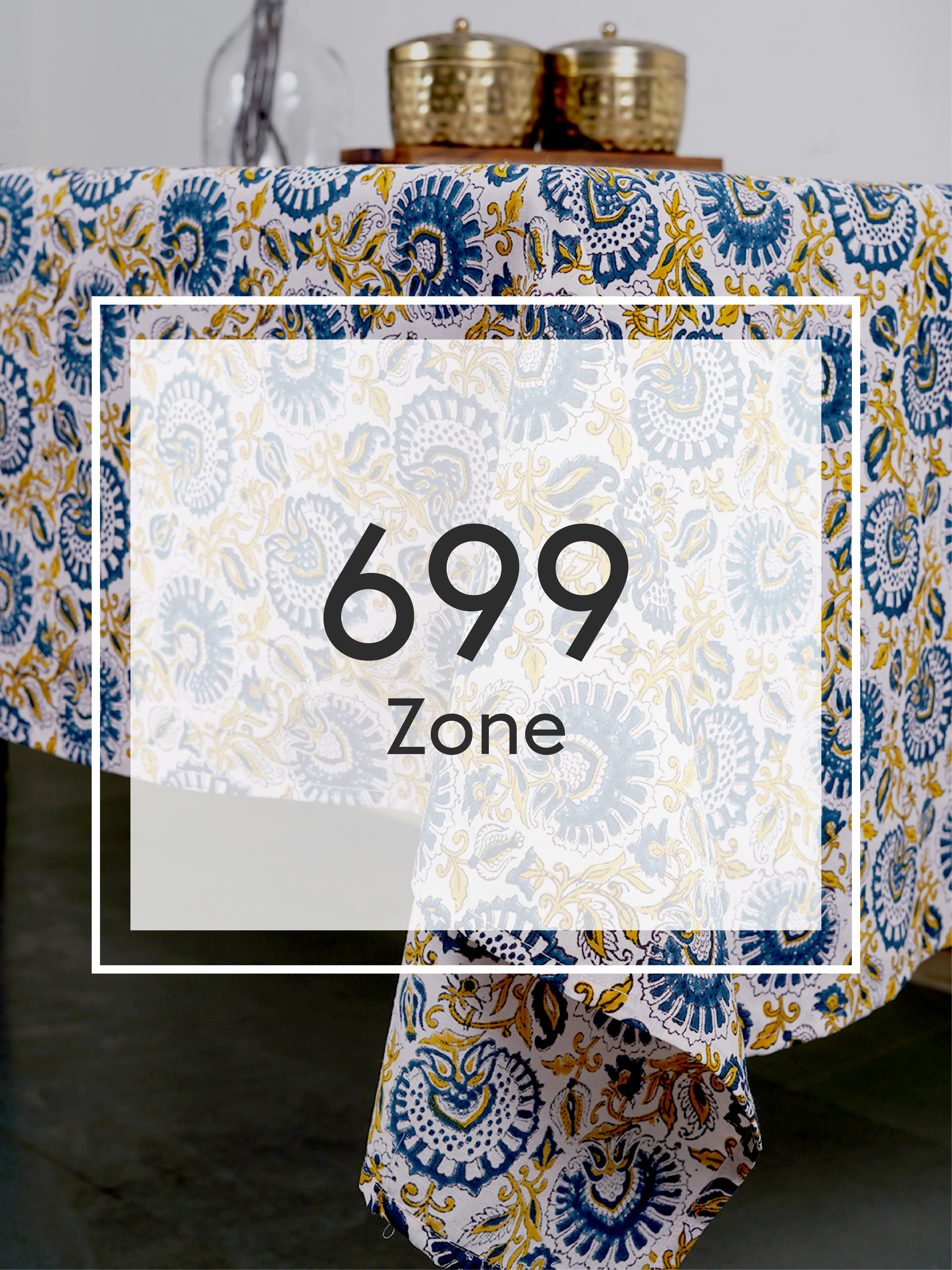 699 Zone