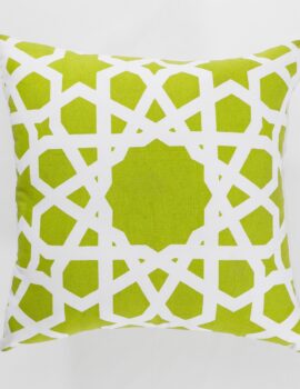 Green Duck 18X18 Cushion Cover Set of 2